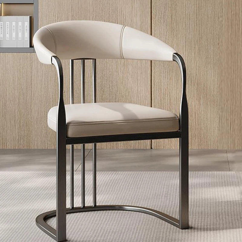 Stylish Multicolor Dining Chair