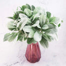 Wechseln Rabbit Ear Grass Artificial Plant 2 Bild