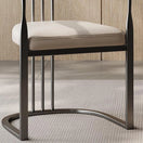 Switch Stylish Multicolor Dining Chair 3 image