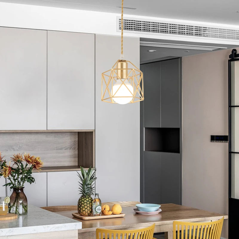 Metal Cage LED Pendant Light Fixture